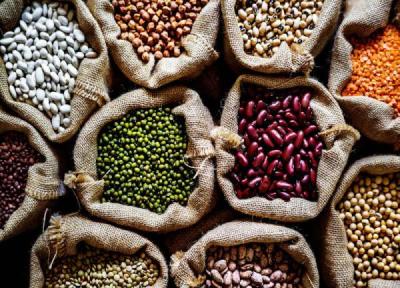 50 نکته راهنمای خرید حبوبات ، چرا برخی حبوبات دیرتر می پزن؟ 50 نکته راهنمای خرید حبوبات ، چرا برخی حبوبات دیرتر می پزن؟